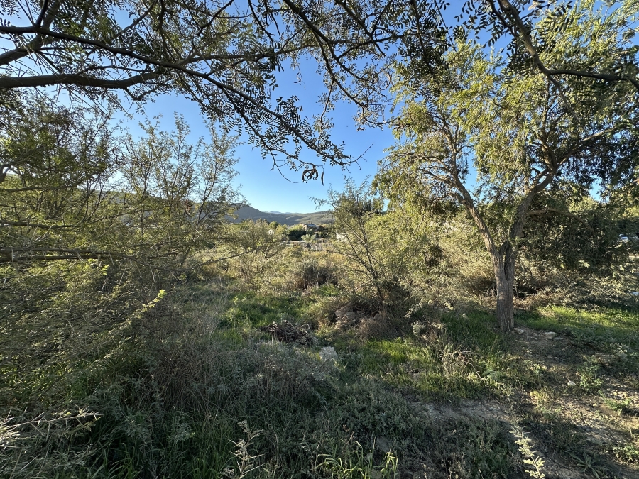 0 Bedroom Property for Sale in Barrydale Western Cape
